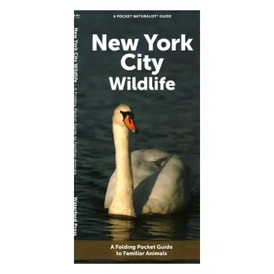 New York City Wildlife - Waterford Press