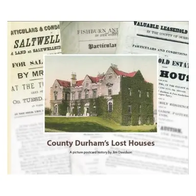 County Durham's Lost Houses - Davidson, Jim