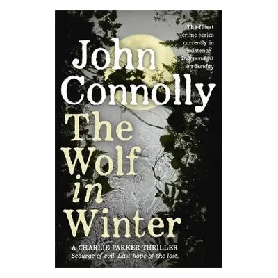 Wolf in Winter - Connolly, John