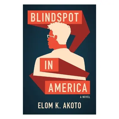 Blindspot in America - Akoto, Elom K.