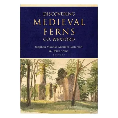 Discovering Medieval Ferns, Co. Wexford