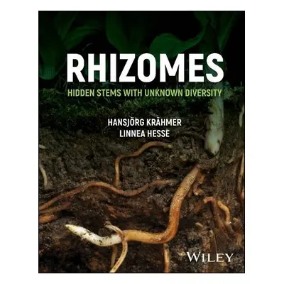 Rhizomes