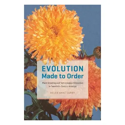 Evolution Made to Order - Curry, Helen Anne