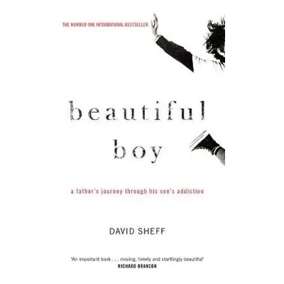 Beautiful Boy - Sheff, David