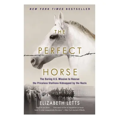 Perfect Horse - Letts, Elizabeth