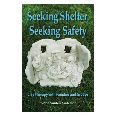 Seeking Shelter, Seeking Safety - Souter-Anderson, Lynne