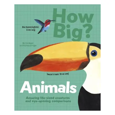 How Big? Animals - Regan, Lisa