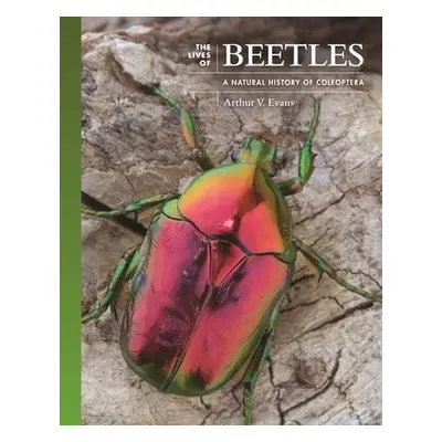 Lives of Beetles - Evans, Arthur V.