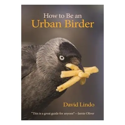 How to Be an Urban Birder - Lindo, David