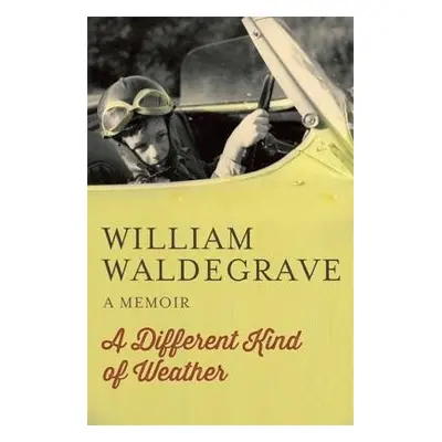 Different Kind Of Weather - Waldegrave, William