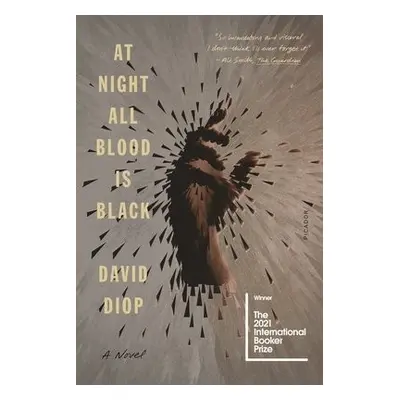 At Night All Blood Is Black - Diop, David