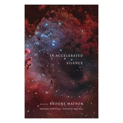 In Accelerated Silence - Matson, Brooke