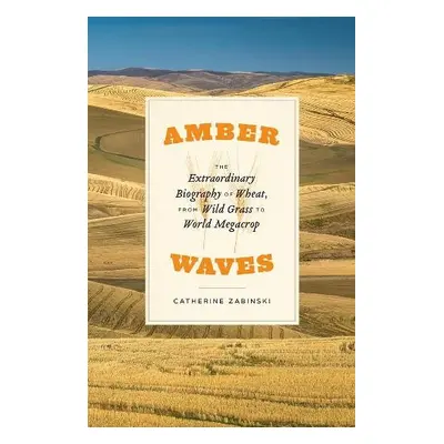 Amber Waves - Zabinski, Catherine