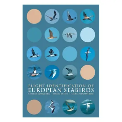 Flight Identification of European Seabirds - Blomdahl, Anders a Breife, Bertil a Holmstrom, Nikl