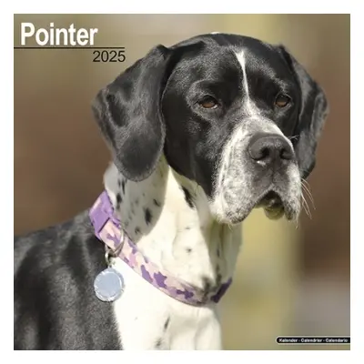 Pointer Calendar 2025 Square Dog Breed Wall Calendar - 16 Month