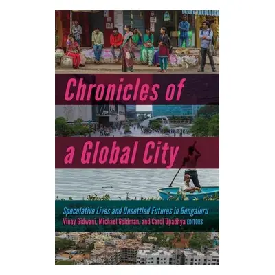 Chronicles of a Global City