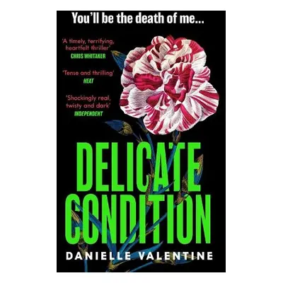 Delicate Condition - Valentine, Danielle