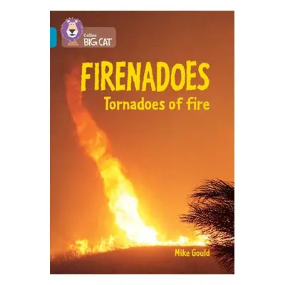 Firenadoes: Tornadoes of fire - Gould, Mike