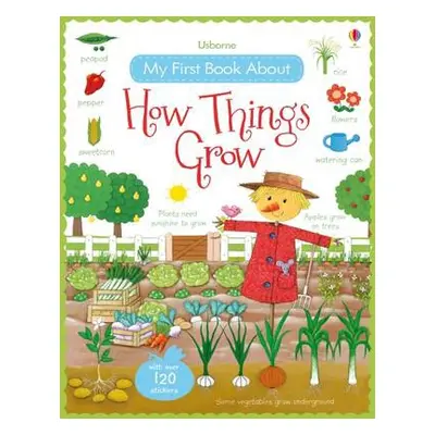 My First Book About How Things Grow - Brooks, Felicity