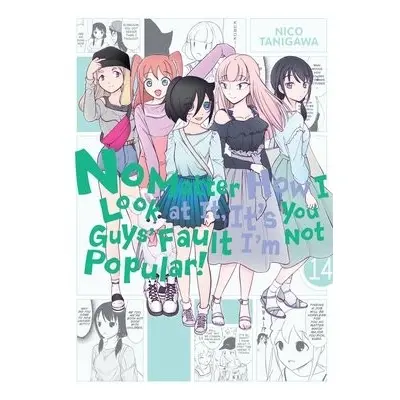 No Matter How I Look at It, It's You Guys' Fault I'm Not Popular!, Vol. 14 - Tanigawa, Nico