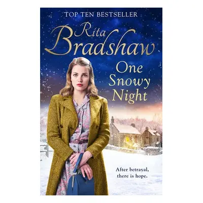 One Snowy Night - Bradshaw, Rita