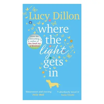 Where The Light Gets In - Dillon, Lucy