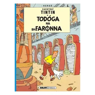 Tintin: Todoga Na Bhfaronna (Irish) - Herge