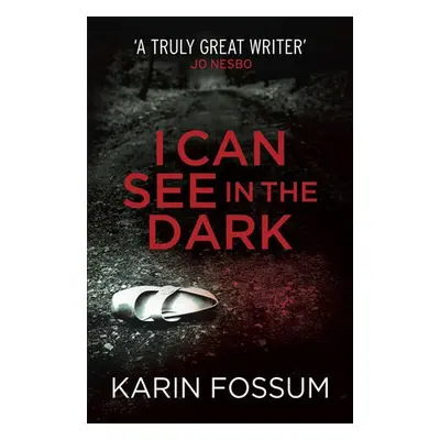 I Can See in the Dark - Fossum, Karin