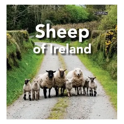 Sheep of Ireland - O'Connor, Sarah