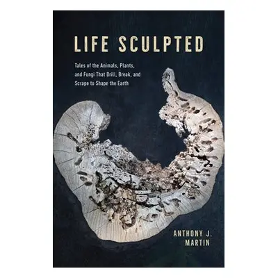 Life Sculpted - Martin, Anthony J.