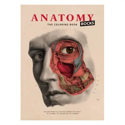 Anatomy Rocks: The Coloring Book