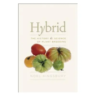 Hybrid - Kingsbury, Noel