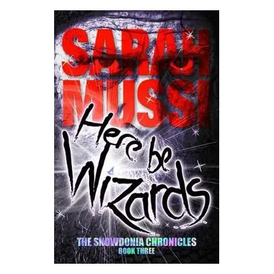 Here be Wizards - Mussi, Sarah