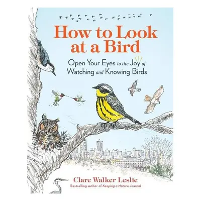 How to Look at a Bird - Walker Leslie, Clare