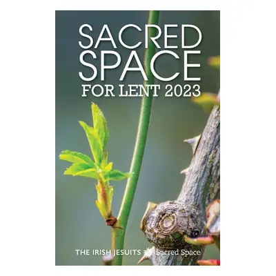 Sacred Space for Lent 2023 - Jesuits, The Irish