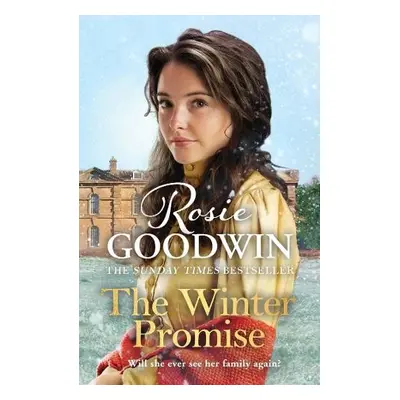 Winter Promise - Goodwin, Rosie