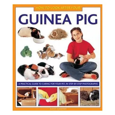 How to Look After Your Guinea Pig - Alderton, David