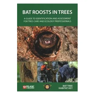 Bat Roosts in Trees - Bat Tree Habitat Key