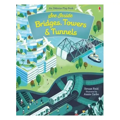 See Inside Bridges, Towers and Tunnels - Reid, Struan