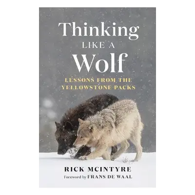 Thinking Like a Wolf - McIntyre, Rick