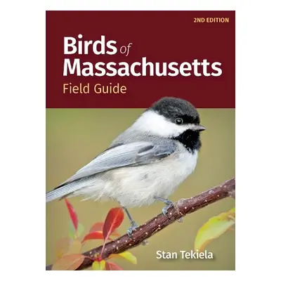 Birds of Massachusetts Field Guide - Tekiela, Stan