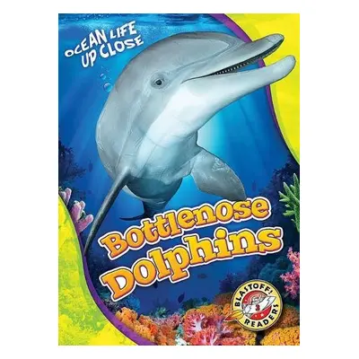 Bottlenose Dolphins - Schuetz, Kari