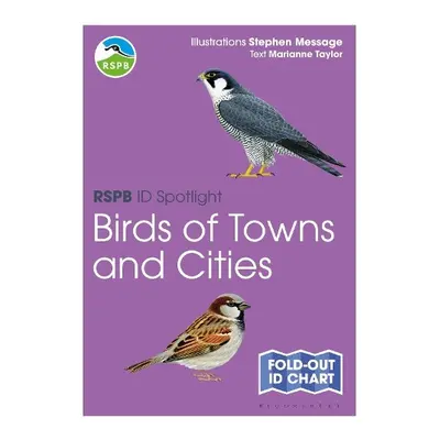 RSPB ID Spotlight - Birds of Towns and Cities - Taylor, Marianne