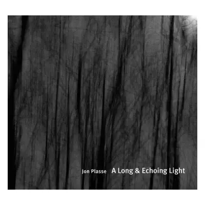 Long and Echoing Light - Plasse, Jon