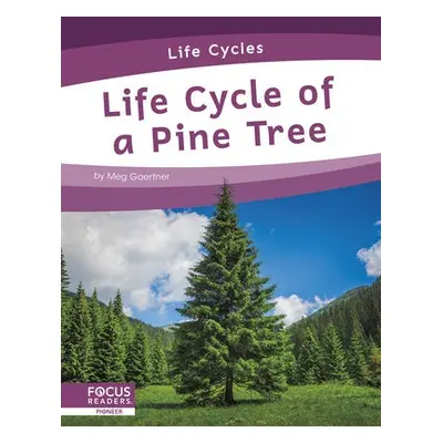 Life Cycles: Life Cycle of a Pine Tree - Gaertner, Meg