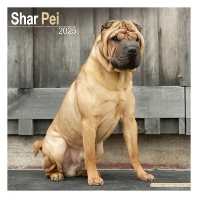 Shar Pei Calendar 2025 Square Dog Breed Wall Calendar - 16 Month