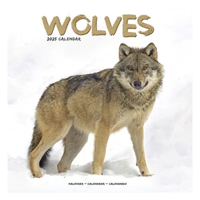 Wolves Calendar 2025 Square Animal Wall Calendar - 16 Month