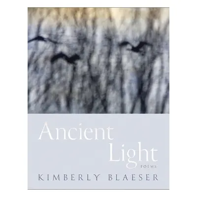 Ancient Light - Blaeser, Kimberly