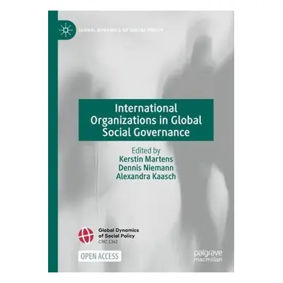 International Organizations in Global Social Governance