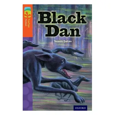 Oxford Reading Tree TreeTops Fiction: Level 13 More Pack A: Black Dan - Gates, Susan